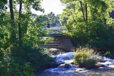 Footbridge over river amidst trees in forest