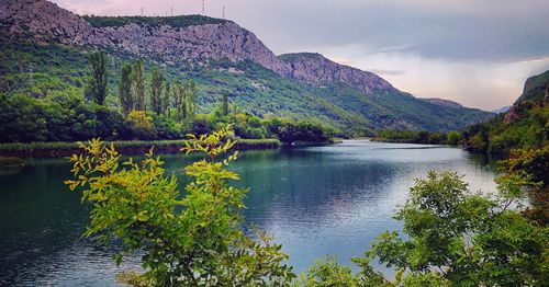 Scenic view of lake by trees against sky