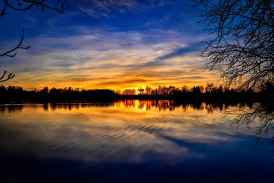 Reflection of trees in water