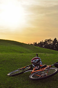 View of landscape at sunset