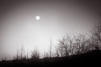 Low angle view of silhouette trees against clear sky at night