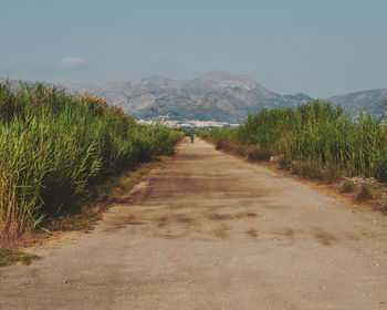 Road amidst field against sky