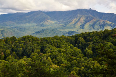 High angle view of trees and mountains against sky