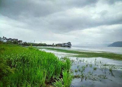 Scenic view of landscape against cloudy sky