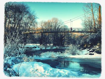 Bare trees in snow covered landscape