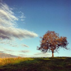 Scenic view of landscape against cloudy sky