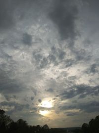 Low angle view of silhouette trees against sky during sunset