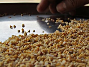 Close-up of person preparing food