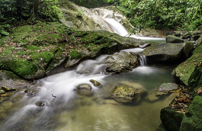 Scenic view of waterfall in forest