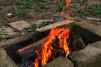 Close-up of bonfire at night