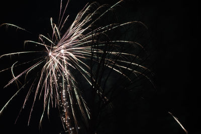 Low angle view of firework display against sky at night