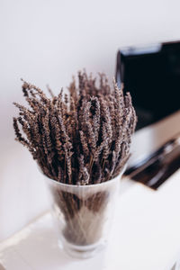 Sprigs of lavender in a transparent vase on a blurred black and white background