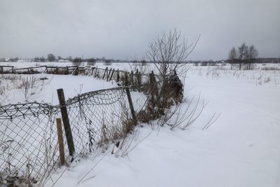 Bare trees on snow covered field against sky