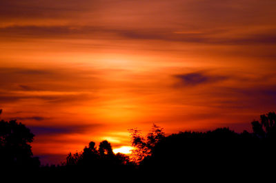 Silhouette trees against dramatic sky during sunset