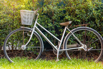 Bicycle in park