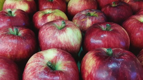 Full frame shot of apples for sale at market stall