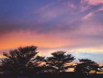 Low angle view of silhouette trees against sky at sunset