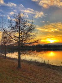 Bare tree by lake against sky during sunset
