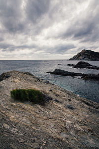 sea