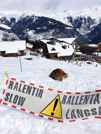 Dog on snowcapped landscape