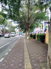 Footpath amidst trees in city