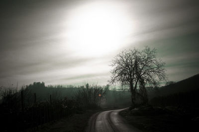 Road amidst trees against sky during foggy weather