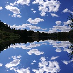 Reflection of trees in calm lake