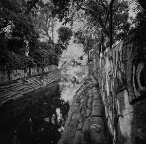 Panoramic shot of waterfall along trees