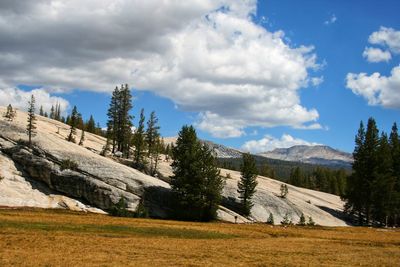 Scenic view of landscape against cloudy sky