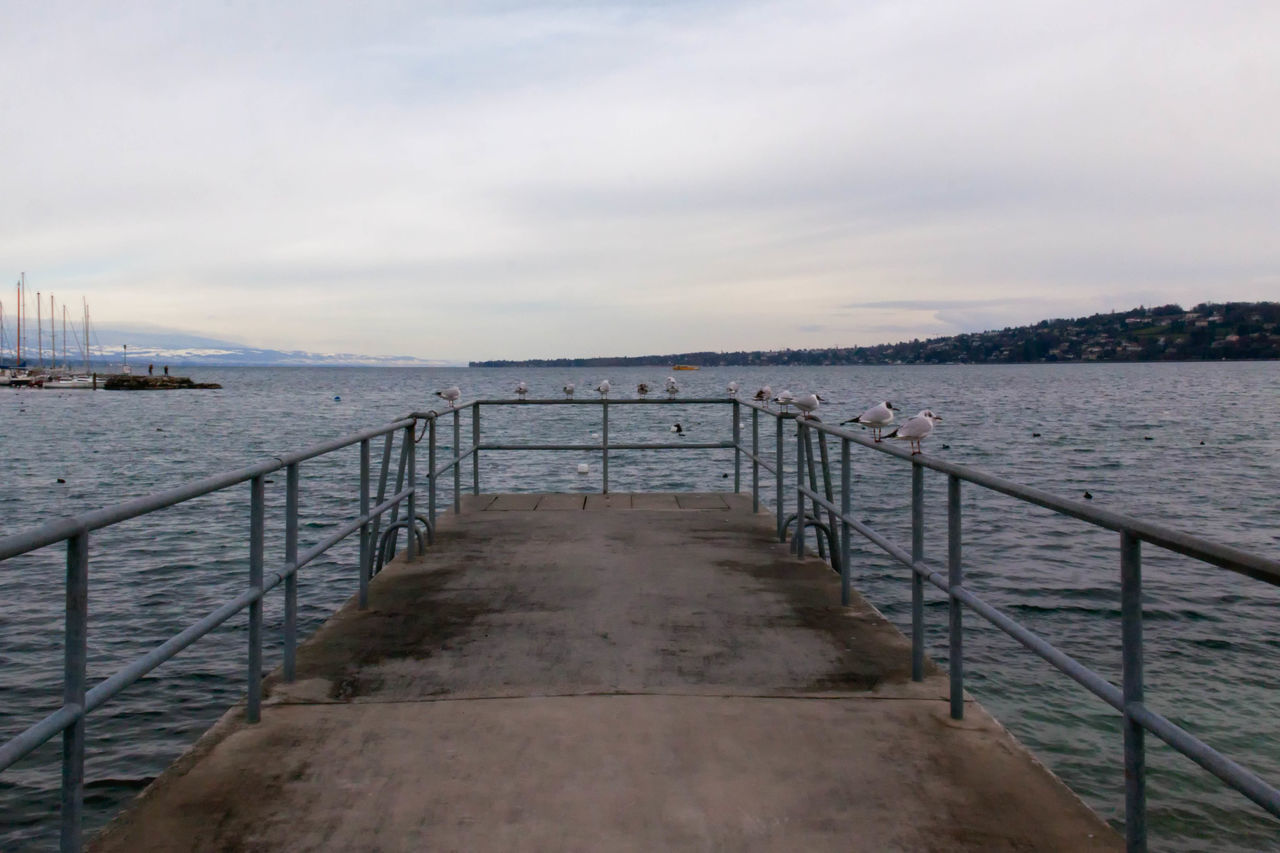 Geneva, Switzerland, Europe, European, Geneva Lake, lake, water, seagulls, birds, mountains, cloudy, clouds