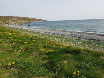 Scenic view of sea against clear sky