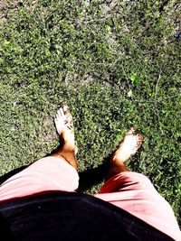 Low section of person legs on land