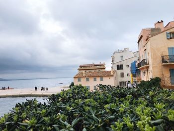 Plants and buildings by sea against sky