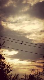 Low angle view of silhouette birds against cloudy sky