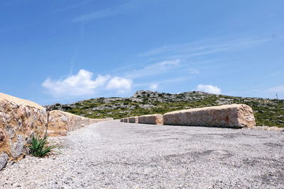 Plants growing on rocks against sky