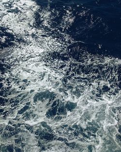 Reflection of trees in water