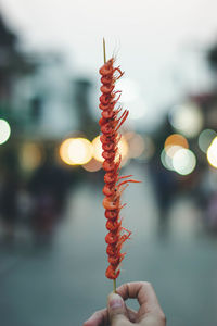 Cropped hand having shrimps on skewer in illuminated city during sunset