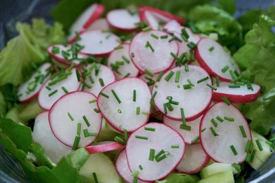 Close-up of salad