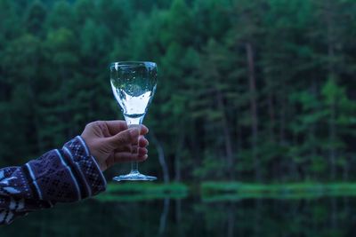 Cropped hand of woman holding wineglass against trees in forest