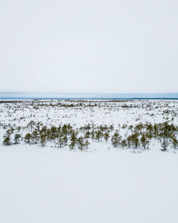 Scenic view of sea against clear sky during winter