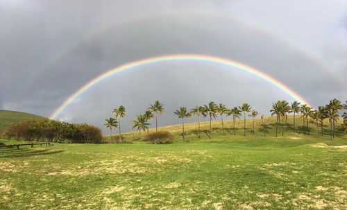 Scenic view of rainbow over trees on field