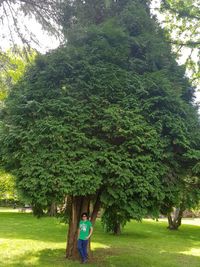 Woman standing by tree on field