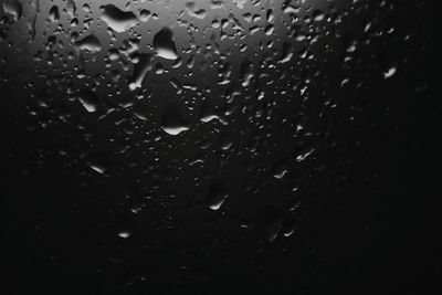 Close-up of water drops on white background