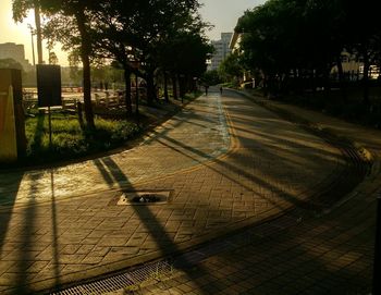 Street by trees in city