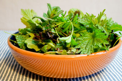 Close-up of various herbs in bowl on table
