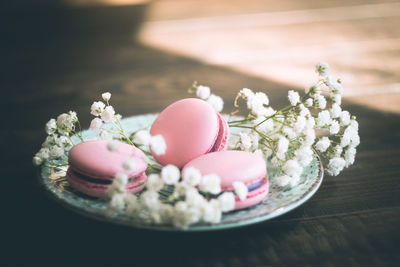 Close-up of pink flowers on table