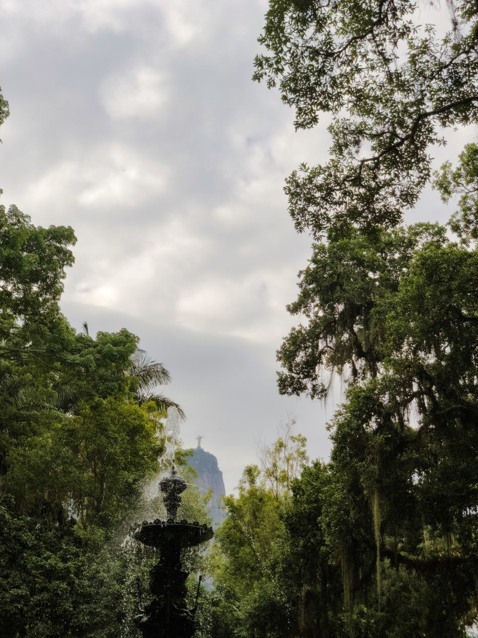 LOW ANGLE VIEW OF STATUE AGAINST TREES AND SKY