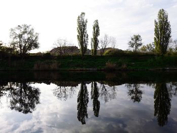 Reflection of trees in lake against sky