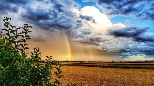 Scenic view of field against rainbow in sky