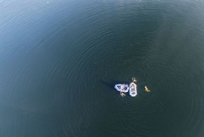 High angle view of people in lake